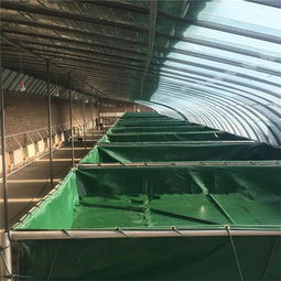 防漏水篷布魚池 pvc帆布水池圖片可移動(dòng)帆布魚池綠色儲(chǔ)水池廠家